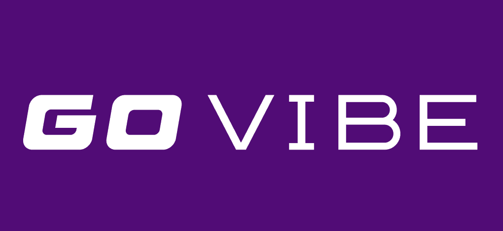 GoVibe - Unlocking Car Rental Success